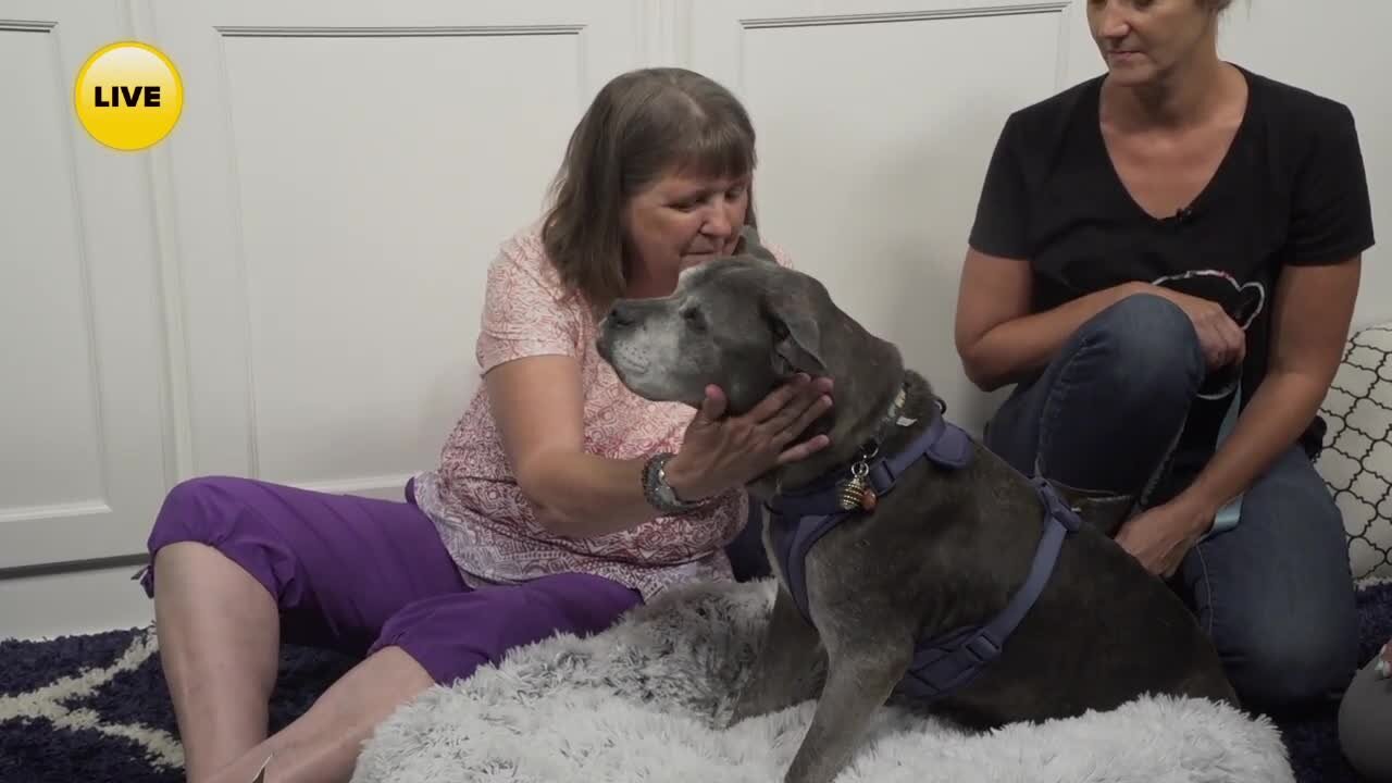 The adventures of Lloyd – Lloyd visits AM Buffalo - Part 3