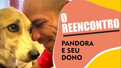 Caso Pandora - O Reencontro