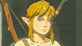 Every Time Link is Said in Breath of the Wild