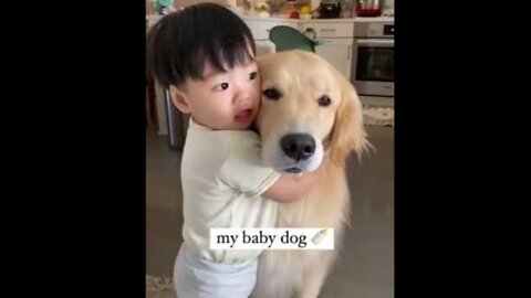 PROOF Dogs Are The Most Dramatic animals #3 😍 #funny dogs2021 #dogsofinstagram #Pets #cutestdogs