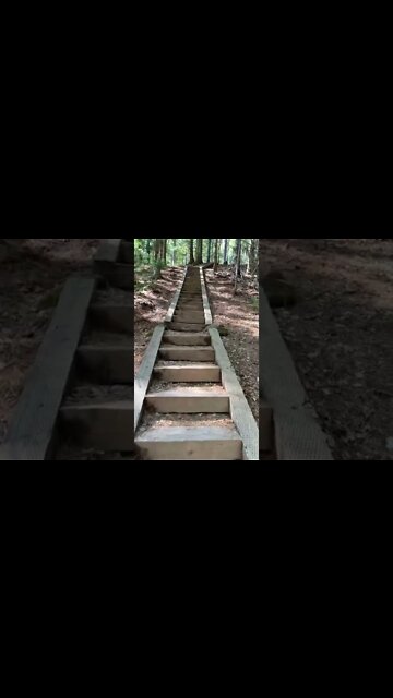 Climbing the steep stairs at Bonshaw trails