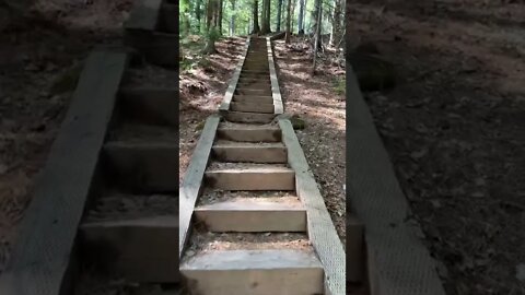Climbing the steep stairs at Bonshaw trails