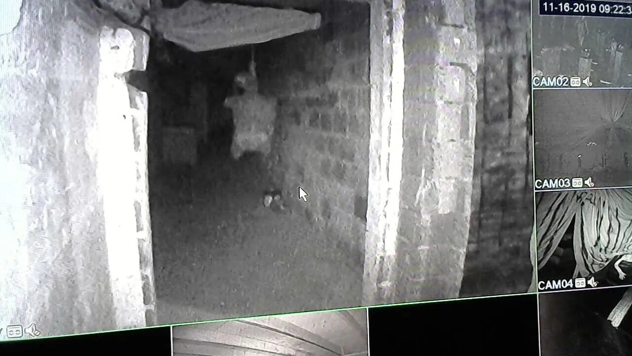 LIVE Harter High School