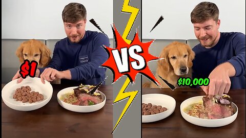 Feeding A Dog $1 vs $10,000 Steak
