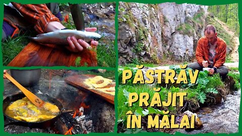 🐟 Păstrăv prăjit în Mălai cu mujdei și mămăliguță! | Gătim în Natură #9