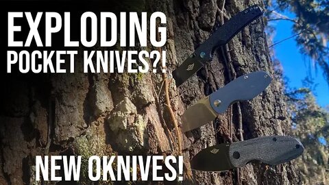 Knives from Olight?!? Beagle and Parrot OKnives
