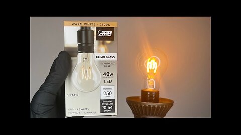 FEIT ELECTRIC-CLEAR GLASS 40W