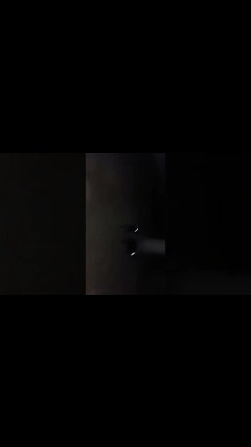 Rottweilers - Lil' Eddie & Faye - Capturing Little Beasts In Their Habitat