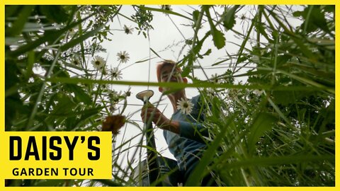 Daisy's Fantastical Garden Tour