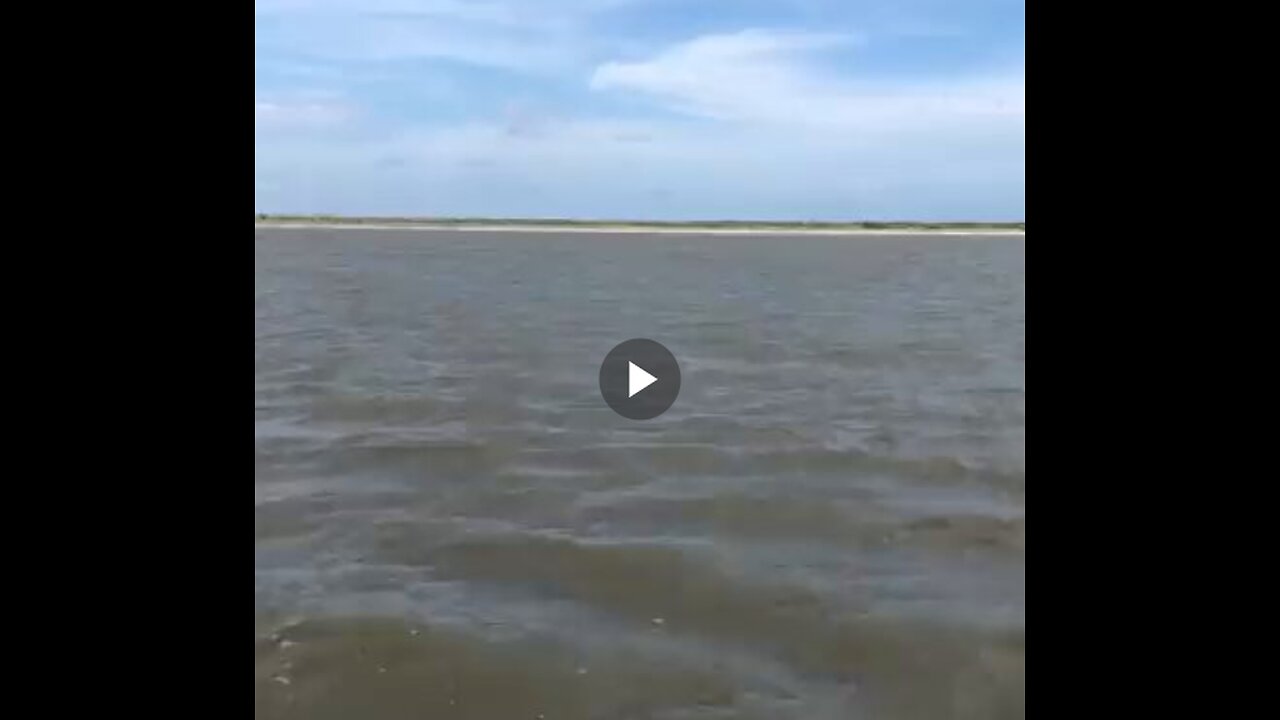 Filming a pelican when I suddenly hear splashing beside me.