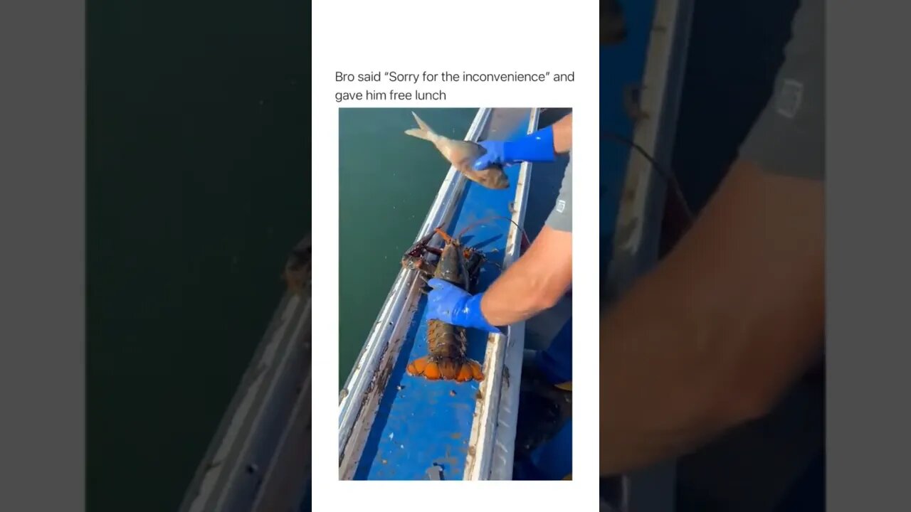 Her friends ain't gonna believe..