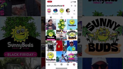 Sunny Buds Instagram Handle