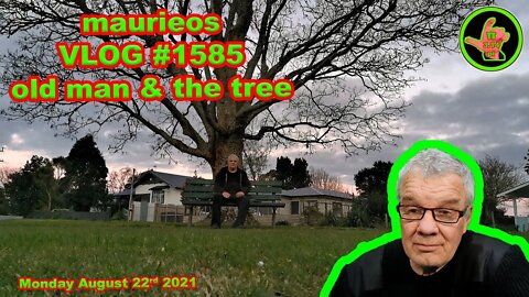 maurieos VLOG #1585 old man & the tree