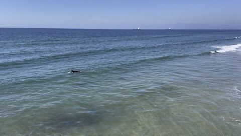 Surfer waiting for a wave in so cal