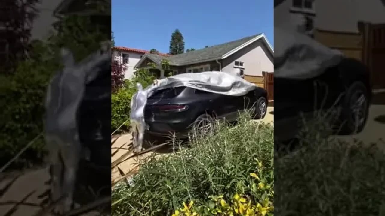 Girlfriend pranks boyfriend in EPIC way When he REALIZED why he couldn't cover his car!!!!!! Plea