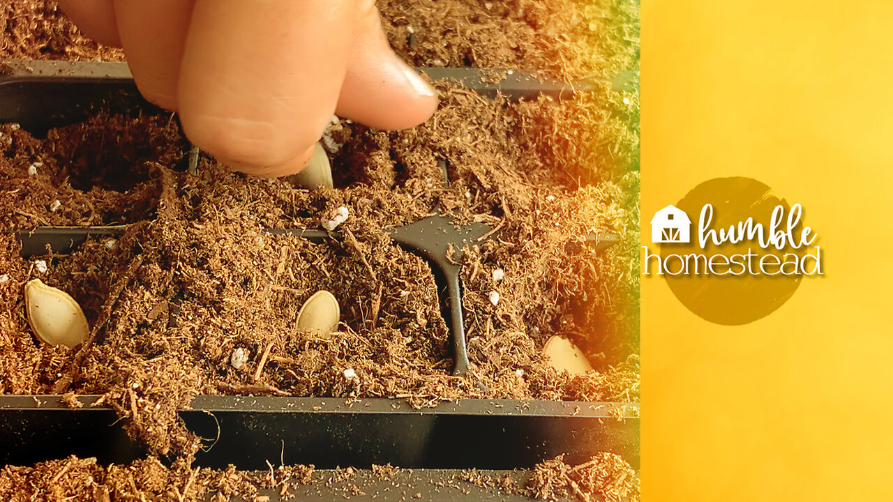 Planting Time has Begun and We had a Surprise! #shorts #shortsvideo