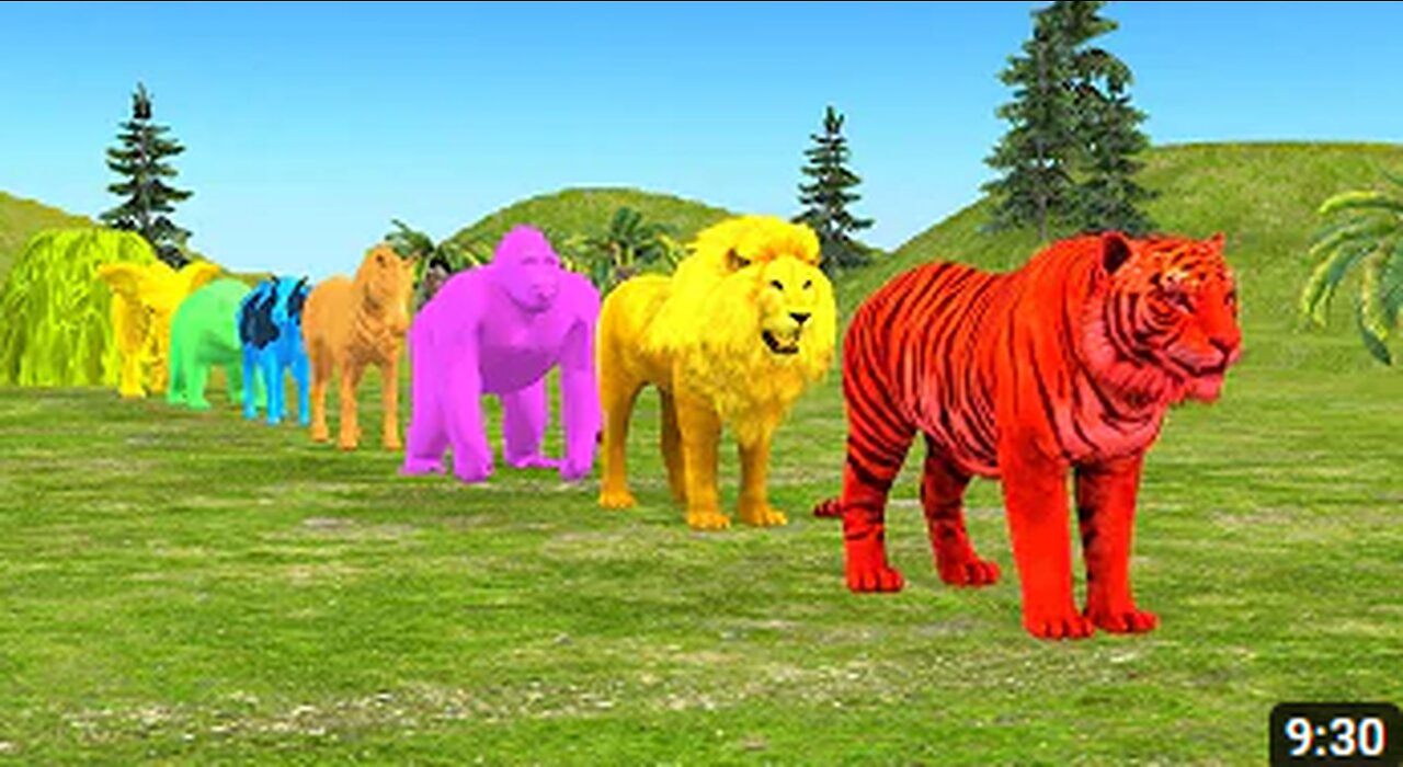 Paint Animals Gorilla Cow Tiger Lion Elephant Fountain Crossing Animal Game