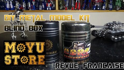 [Francais] Revue Video de MoyuStore - Blind Box DIY Metal Model