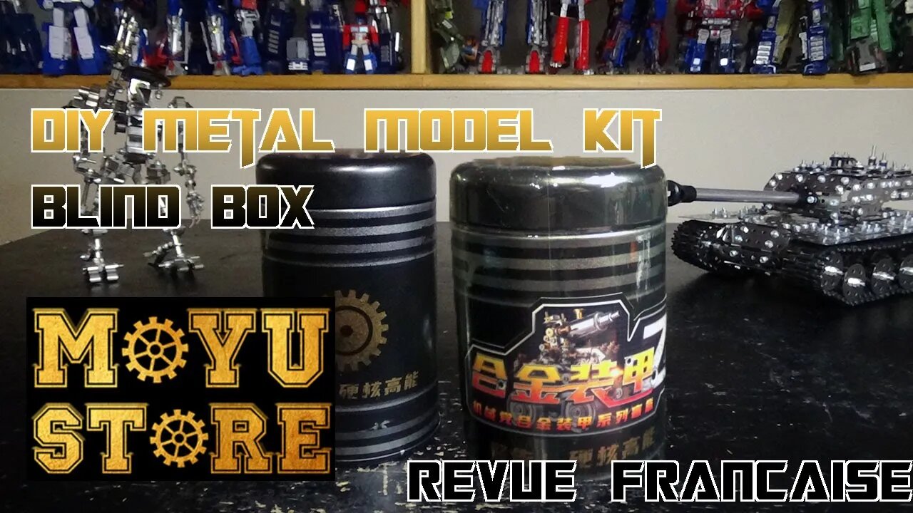 [Francais] Revue Video de MoyuStore - Blind Box DIY Metal Model
