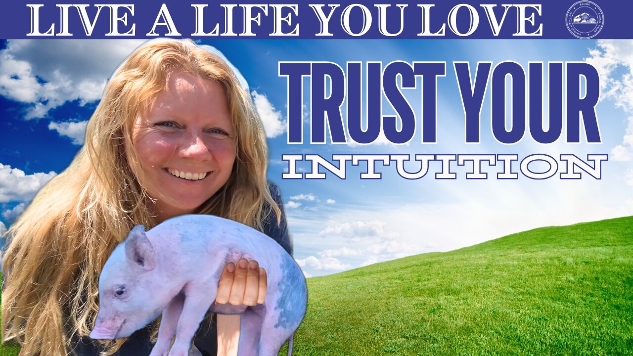 Trust Your Gut. What is Your Intuition Telling You?