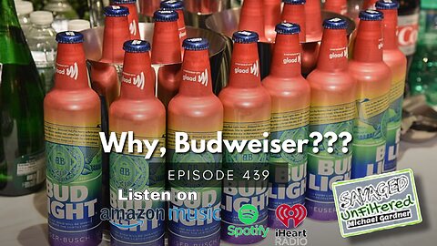 S4 • E439: Why, Budweiser??