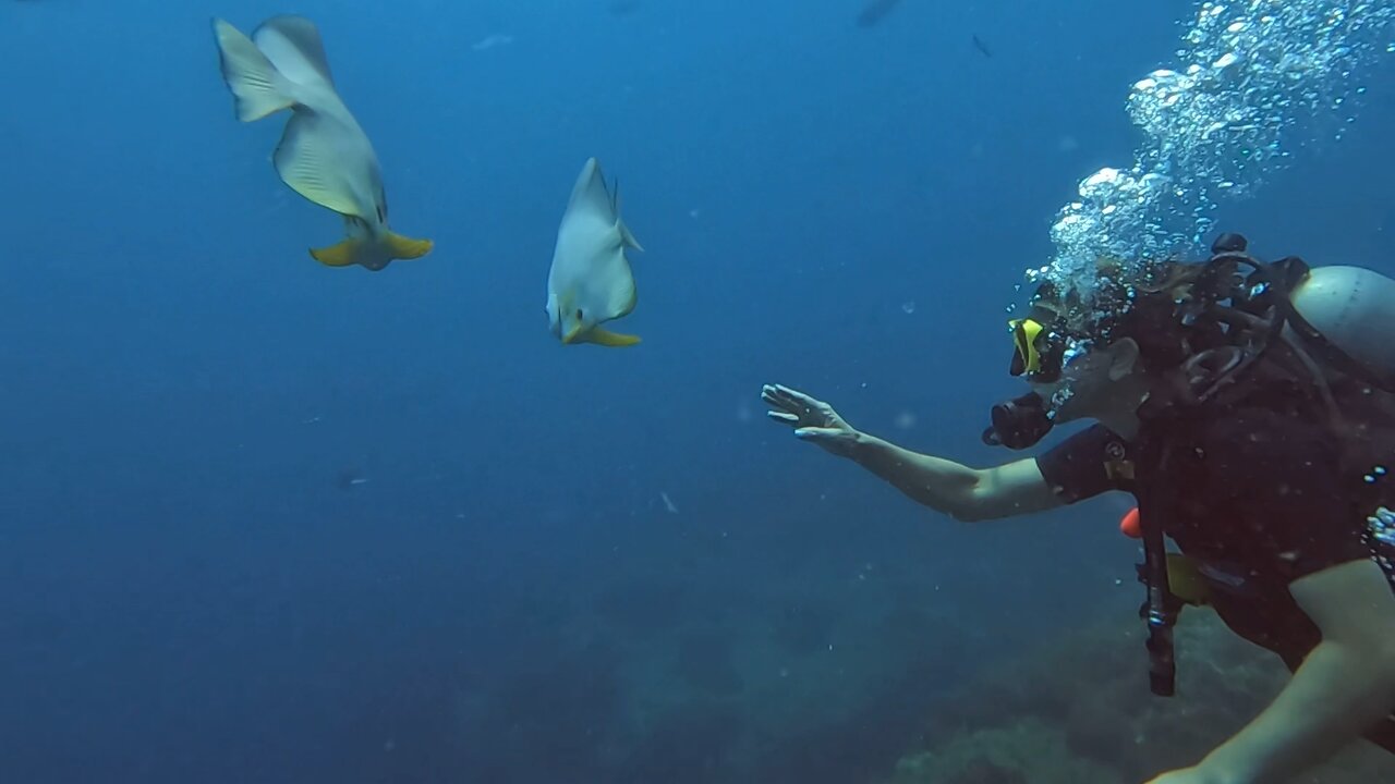 SailRock Thailand