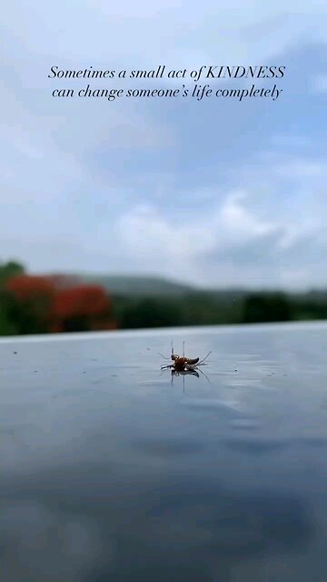 Follow my YouTube channel link is in the description 5