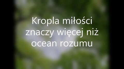 Aforyzm