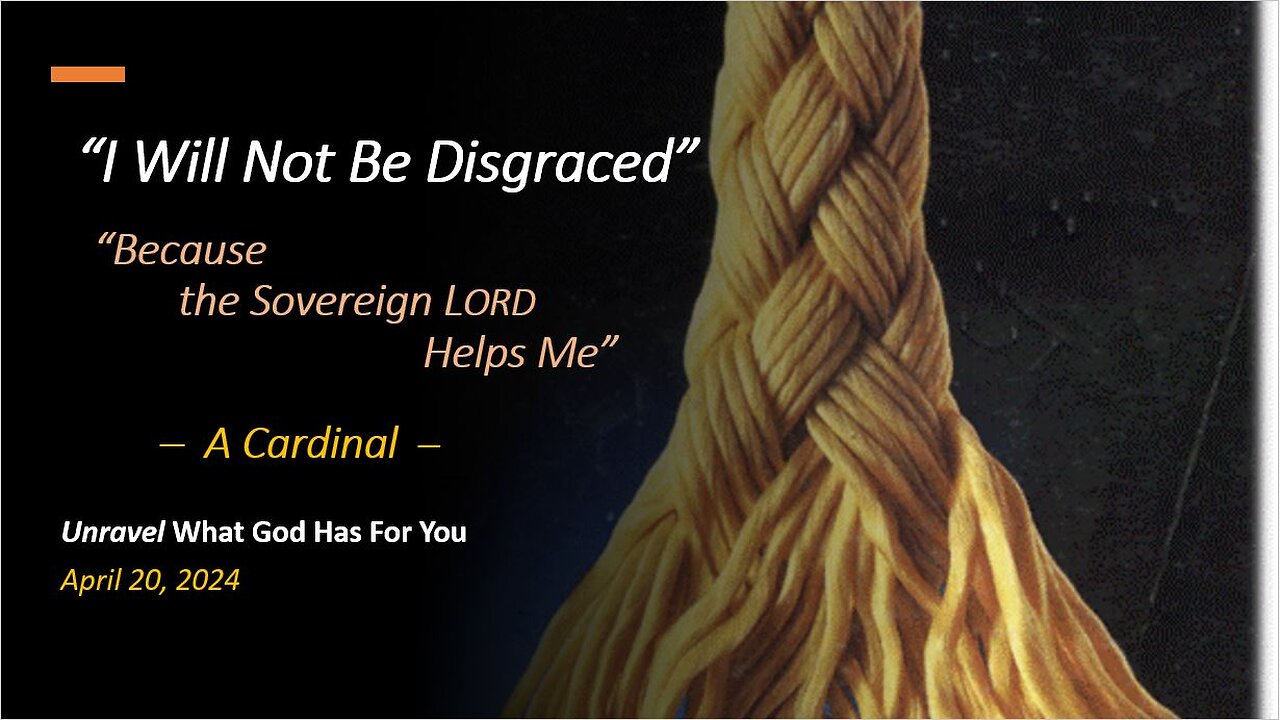 I Will Not Be Disgraced *Cardinal* (Apr 20, 2024)