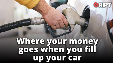 Where your money goes when you fill up your car