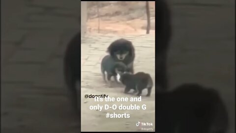 It's the one and only D-O double G #shorts