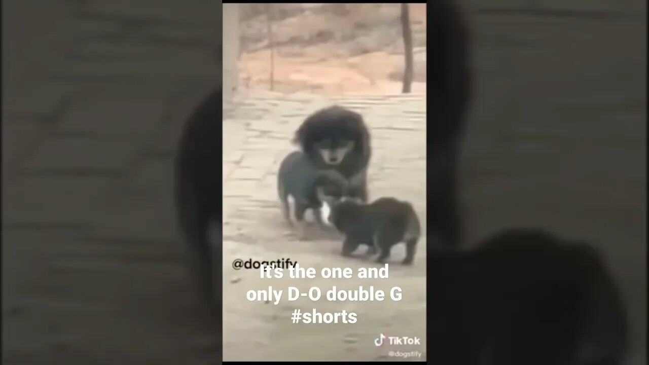 It's the one and only D-O double G #shorts