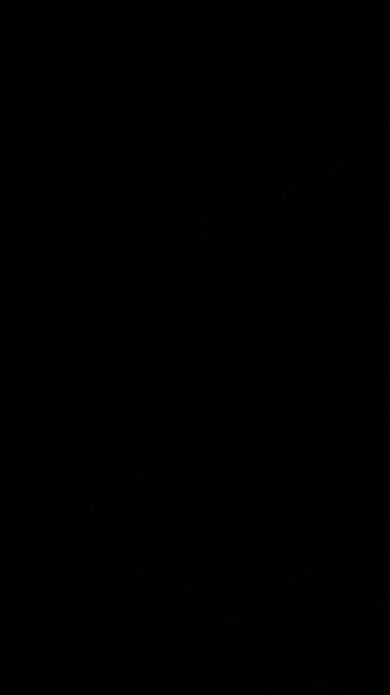 Christian missionary