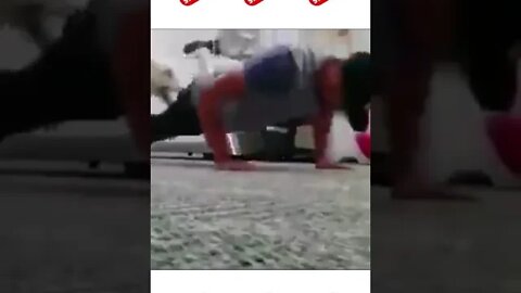 Cachorro Brincando com o Dono #shorts
