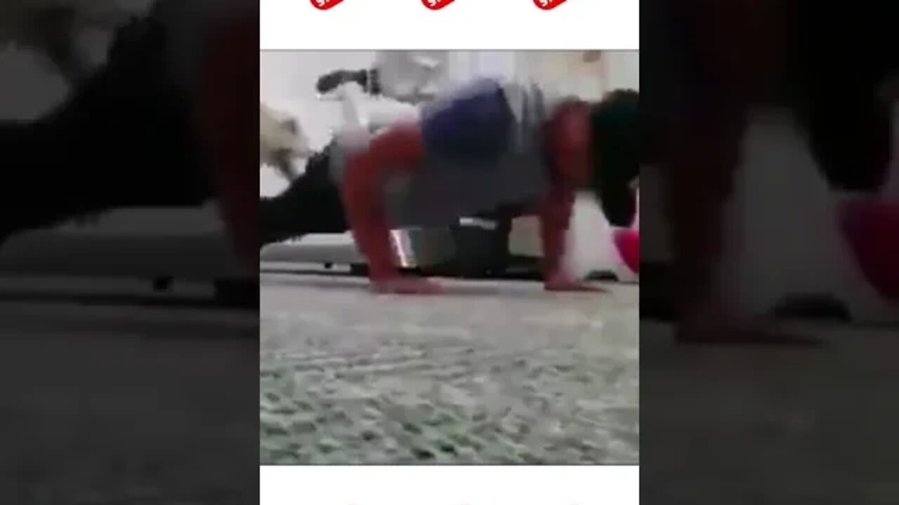 Cachorro Brincando com o Dono #shorts