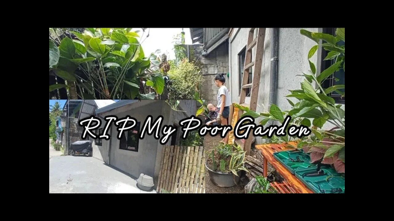 Driveway Attempt #2 | RIP My Poor Garden |Canadian Filipina Couple Living in the Countryside PH