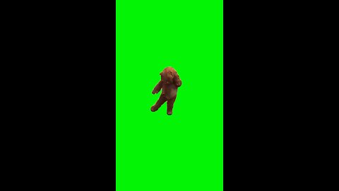 Ewok Dancing | Green Screen