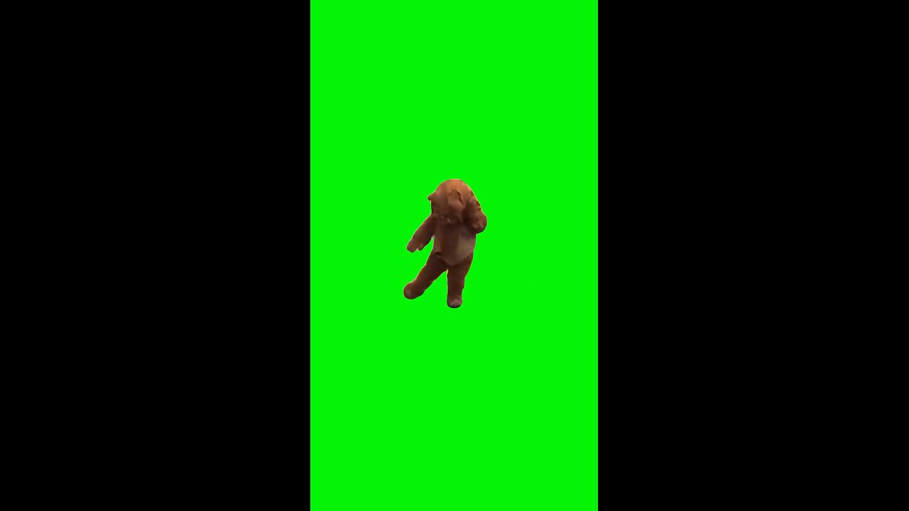 Ewok Dancing | Green Screen