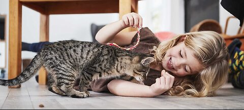 Cute Cat Playing with Girl: The Most Adorable Bond Ever #cutecat #kitten #kittenplaying