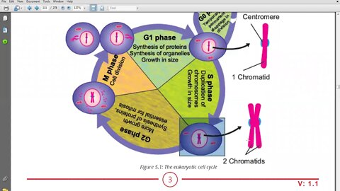 9th Bio Interphase