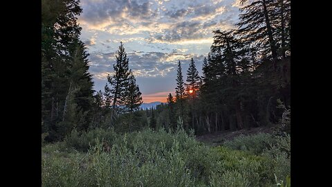 Day 48-51 - Pacific Crest Trail 2024 - Into and Out of Kennedy Meadows North and Sonora Pass