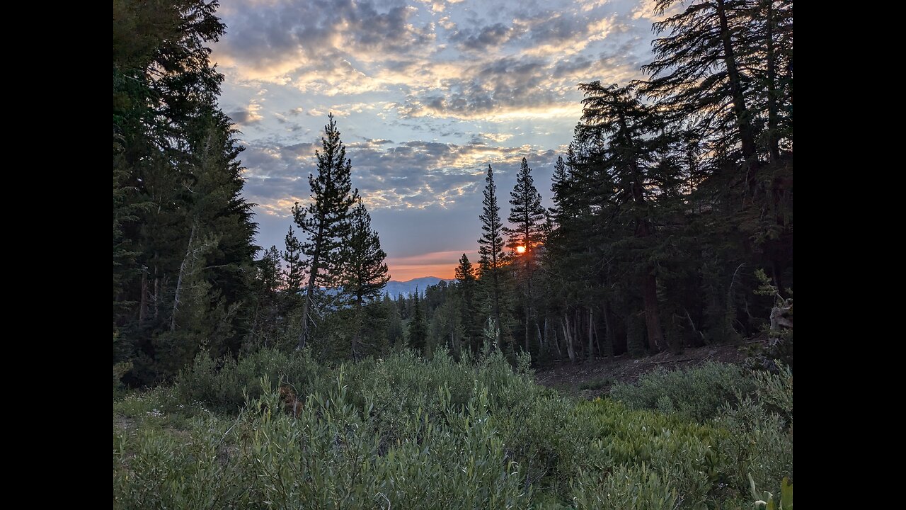 Day 48-51 - Pacific Crest Trail 2024 - Into and Out of Kennedy Meadows North and Sonora Pass