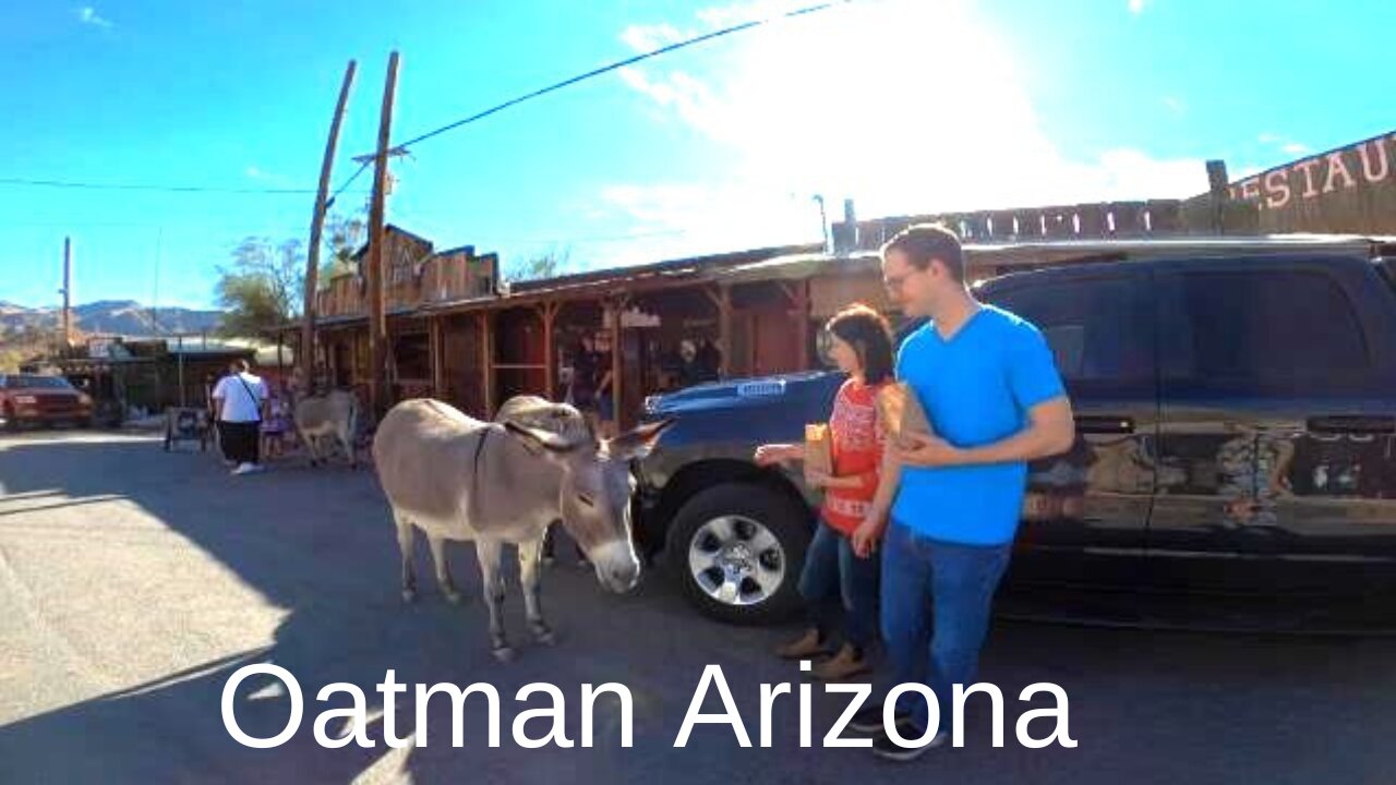 trip to oatman az to see the donkeys on route 66