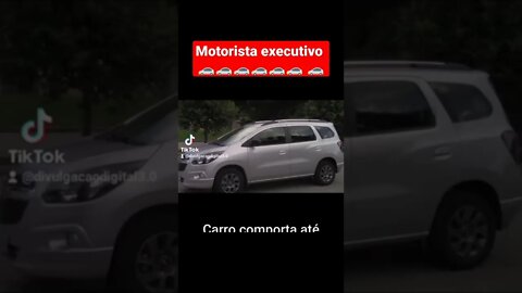 Diogo Lopes -motorista executivo