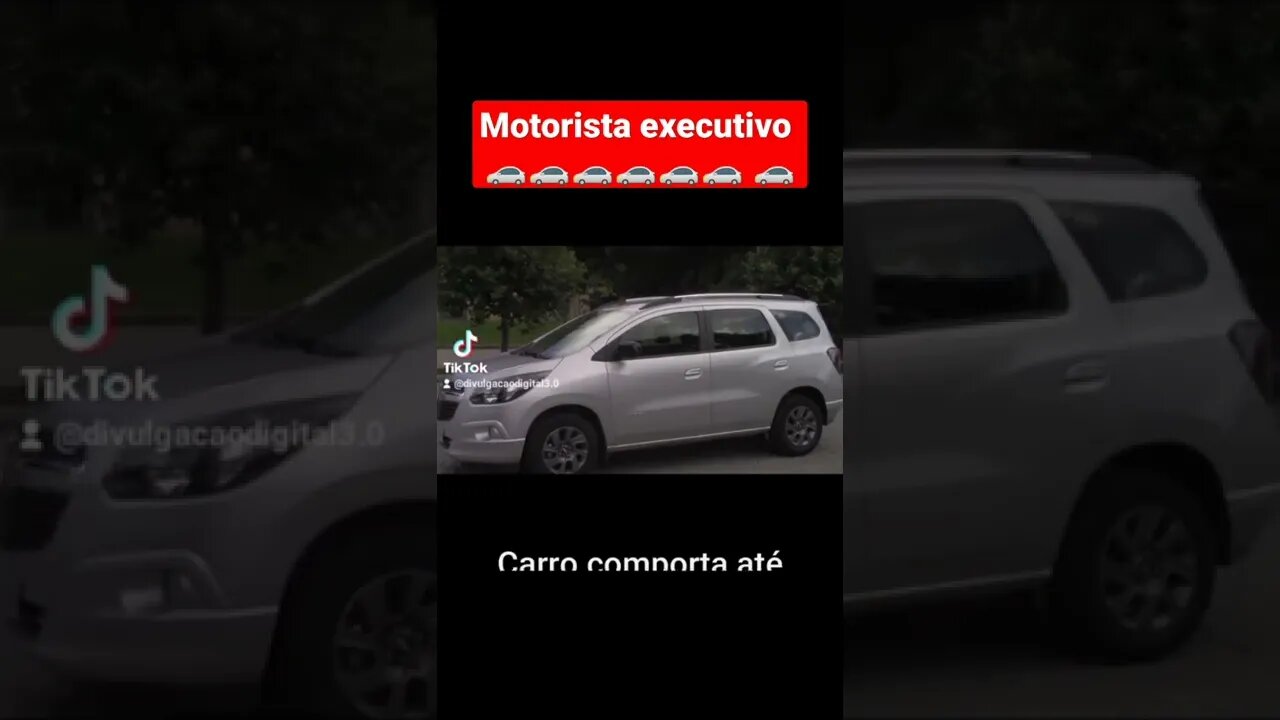 Diogo Lopes -motorista executivo