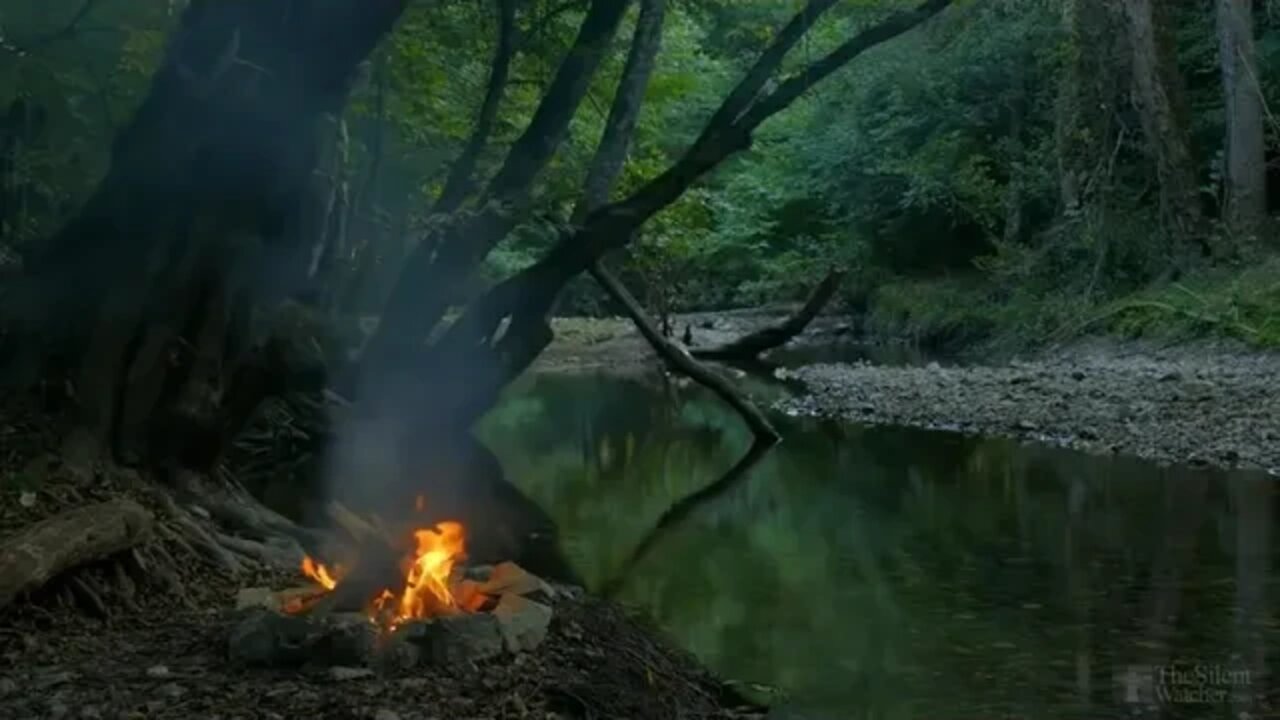 Relaxing music video #music #video #viral #relax #meditation #river #fire #viralvideo #tiktokvideo