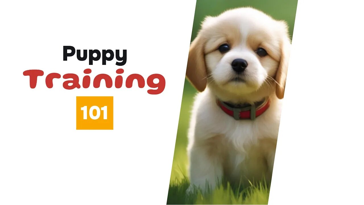 Puppy Training 101: Essential Tips for WoofWave Subscribers