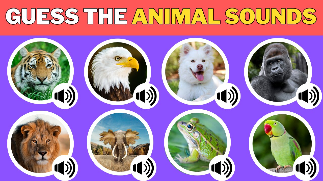 Guess the Animals by Sound | Animals Quiz