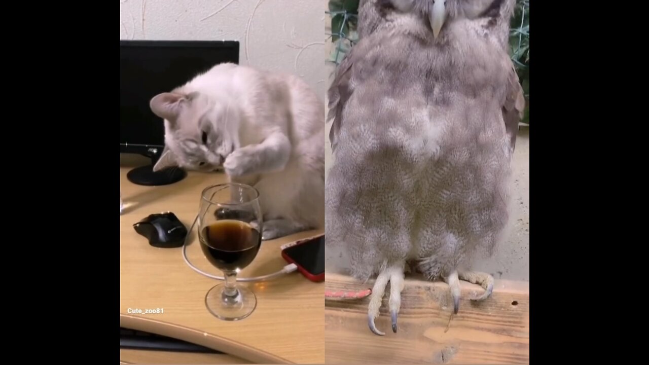 What a face looks like 👀😲😮😂