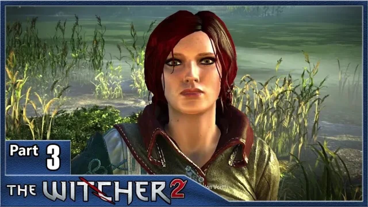 The Witcher 2, Part 3 / The Dungeons of the La Valettes, A Rough Landing, Flotsam Town